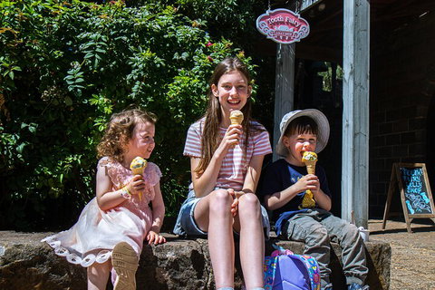 Kryal Castle Adventure Park Admission Ticket - Dalby Accommodation 1