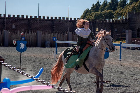 Kryal Castle Adventure Park Admission Ticket - Dalby Accommodation 5