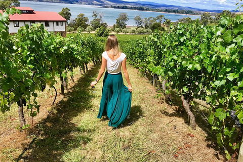 Tamar Valley Wine Tour With Lunch - Dalby Accommodation 2