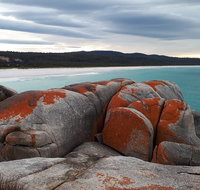 3-Day Bay of Fires Photography Workshop from Hobart - Dalby Accommodation