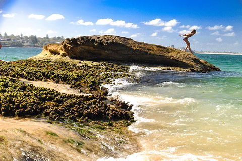 Kiama South Coast Tour With Coastline, Farmlands, Aboriginal Engravings & Lunch - Dalby Accommodation 4