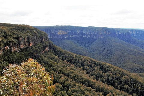 Blue Mountains - Dalby Accommodation 3