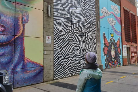 Jimmy C Street Art Walking Tour - Dalby Accommodation 2