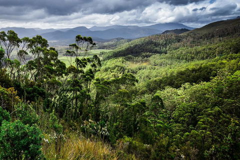 3-Day Tour To The Falls, Mountains, Lake & More Of West Coast Tasmania - Dalby Accommodation 0