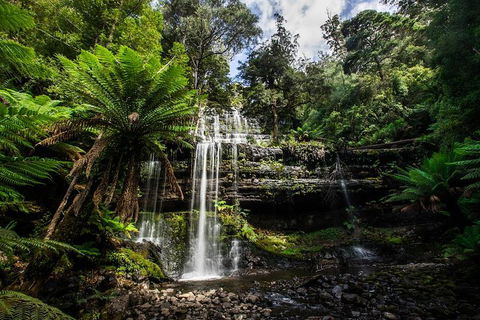 3-Day Tour To The Falls, Mountains, Lake & More Of West Coast Tasmania - Dalby Accommodation 4
