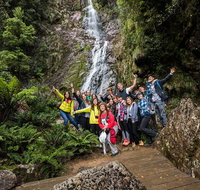 5-Day Lap of Tasmania Tour from Hobart flexible ticket - Dalby Accommodation