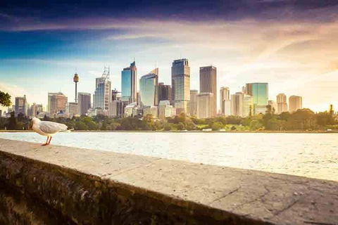 Private Sydney City And Bondi Beach Half Day Tour - Dalby Accommodation 2