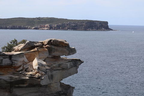 Private Sydney City And Bondi Beach Half Day Tour - Dalby Accommodation 3