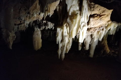 The Pinnacle Adventure Tour - Dalby Accommodation 0