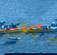 Half-Day Sydney Middle Harbour Guided Kayaking Eco Tour - Dalby Accommodation