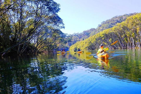Half-Day Sydney Middle Harbour Guided Kayaking Eco Tour - Dalby Accommodation 1