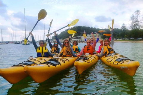 Half-Day Sydney Middle Harbour Guided Kayaking Eco Tour - Dalby Accommodation 2