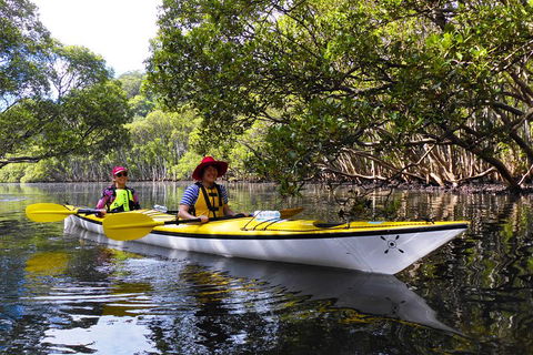 Half-Day Sydney Middle Harbour Guided Kayaking Eco Tour - Dalby Accommodation 3