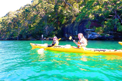 Half-Day Sydney Middle Harbour Guided Kayaking Eco Tour - Dalby Accommodation 4