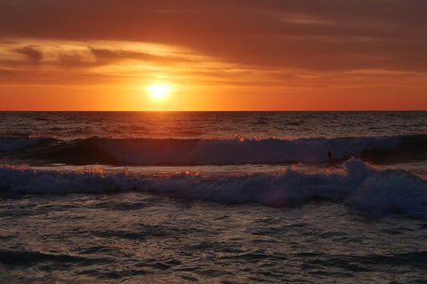 Australian Animals, Seascape And Sunset Photography Tour - Dalby Accommodation 5