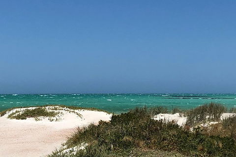 Private Pinnacles Day Tour - Dalby Accommodation 2