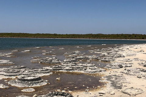 Private Pinnacles Day Tour - Dalby Accommodation 5