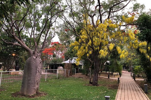 Gorgeous Gorges Tour - Windjana & Bell Gorge, Mt Hart, Cape Leveque - Dalby Accommodation 3