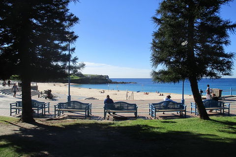 Private Coogee To Bondi Walk From Your City Hotel - Dalby Accommodation 0