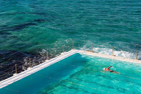 Private Coogee To Bondi Walk From Your City Hotel - Dalby Accommodation 2