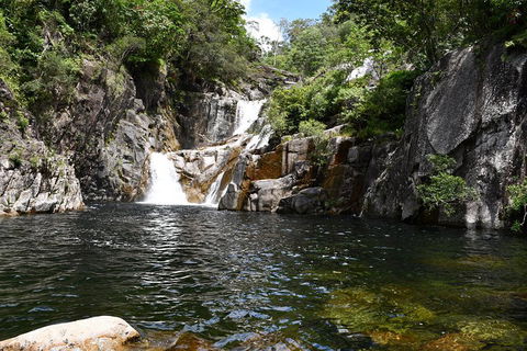 Behana Canyon Rainforest And Waterfall Experience - Dalby Accommodation 0