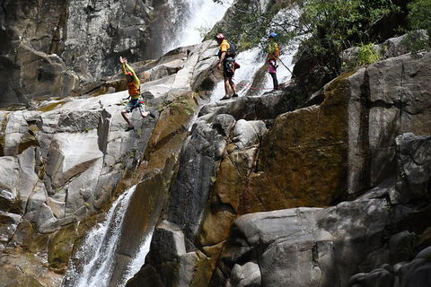 Behana Canyon Rainforest And Waterfall Experience - Dalby Accommodation 2