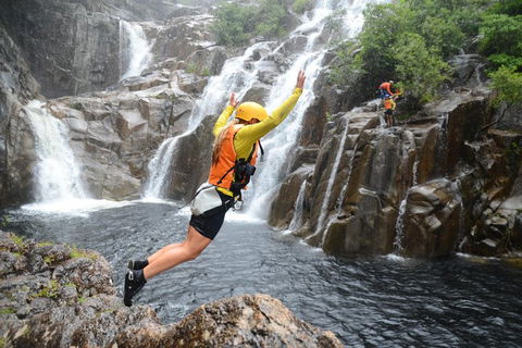 Behana Canyon Rainforest And Waterfall Experience - Dalby Accommodation 3
