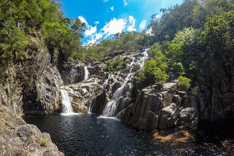 Behana Canyon Rainforest And Waterfall Experience - Dalby Accommodation 5