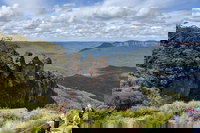Blue Mountains Private Tour - wild kangaroos waterfalls and The Three Sisters, Sydney