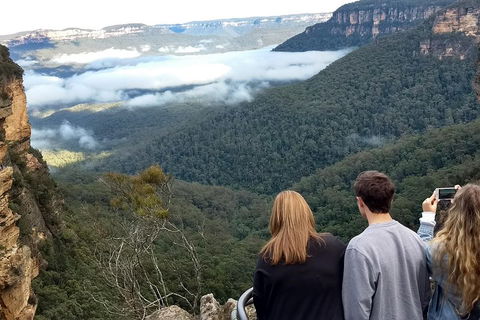 Blue Mountains Private Tour - Wild Kangaroos, Waterfalls And The Three Sisters - Dalby Accommodation 3