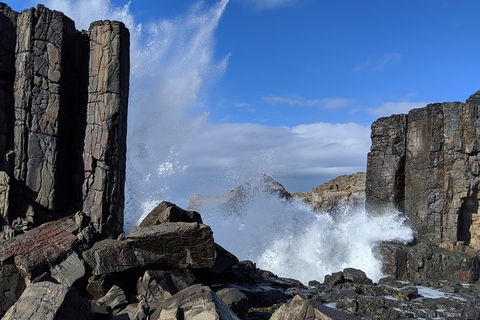 Erupting Blowholes And Ancient Rainforests With 'Personalised Sydney Tours' - Dalby Accommodation 0
