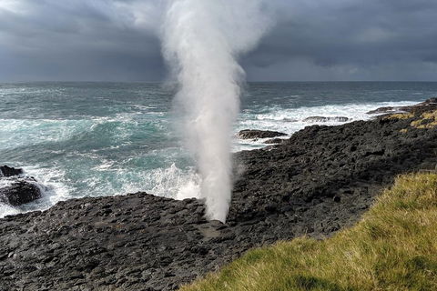 Erupting Blowholes And Ancient Rainforests With 'Personalised Sydney Tours' - Dalby Accommodation 1