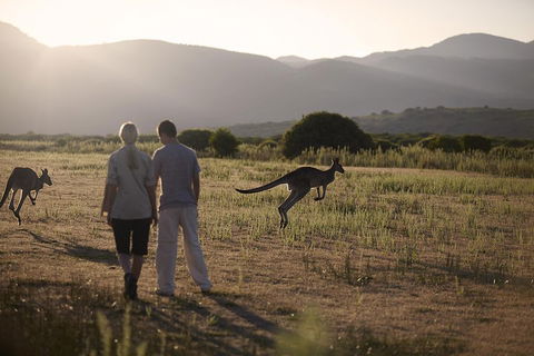 Overnight Daylesford And Macedon Ranges Gourmet Food Trail Tour From Melbourne - Dalby Accommodation 1