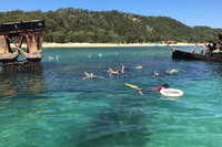 All Inclusive Dolphin and Tangalooma Wrecks Cruise, Brisbane