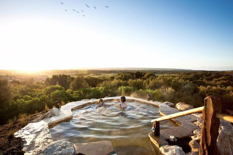 Peninsula Hot Springs & Wine Tasting - Day Tour - Dalby Accommodation 0