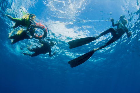 Passions Of Paradise Great Barrier Reef Snorkel And Dive Cruise From Cairns By Luxury Catamaran - Dalby Accommodation 2