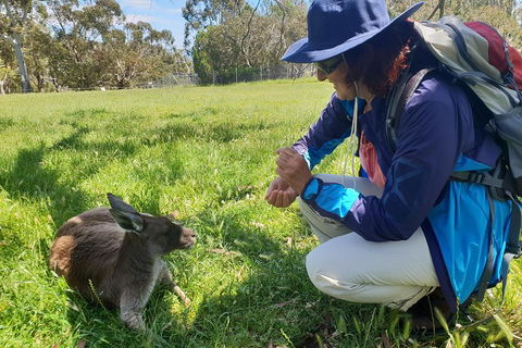 Mount Lofty Hike And Cleland Wildlife Park Day Trip From Adelaide - Dalby Accommodation 1