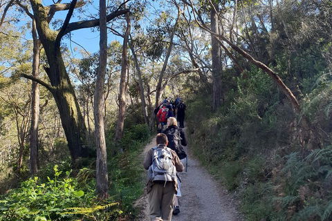 Mount Lofty Hike And Cleland Wildlife Park Day Trip From Adelaide - Dalby Accommodation 3