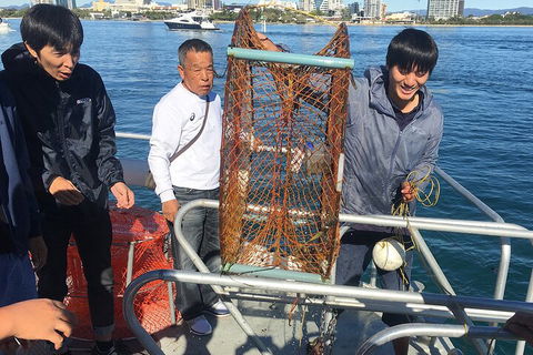 Crab Trip From Gold Coast - Dalby Accommodation 1