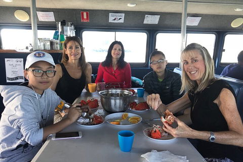 Gold Coast City Sights Tour From Gold Coast - Dalby Accommodation 5