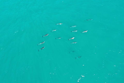 Port Macquarie Hastings Explorer - 30 Min VIP Private Flight - Dalby Accommodation 4