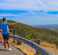 Private Tour Mornington Peninsula Family Maze and Fun - Dalby Accommodation