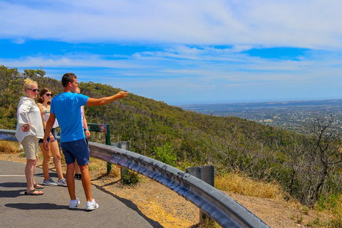 [Private Tour] Mornington Peninsula Family, Maze And Fun! - Dalby Accommodation 0