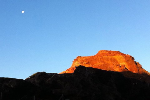 [Private Tour] Mornington Peninsula Family, Maze And Fun! - Dalby Accommodation 4
