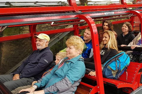 Blue Mountains Ultimate One-Day Tour - Dalby Accommodation 0