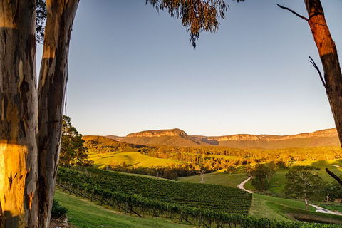 Taste Of The Blue Mountains - Lunch & Wine Tasting, Beer, Cider & Gin Tasting - Dalby Accommodation 1