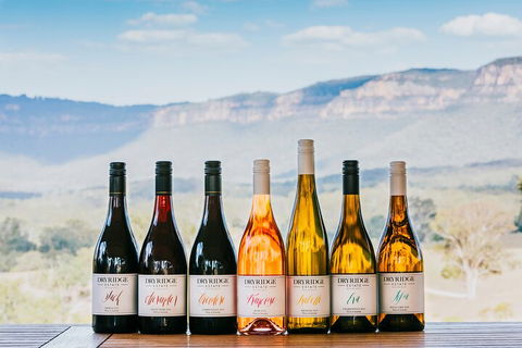 Taste Of The Blue Mountains - Lunch & Wine Tasting, Beer, Cider & Gin Tasting - Dalby Accommodation 3