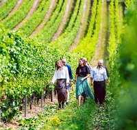 Tasmanian Wine Tour - Dalby Accommodation