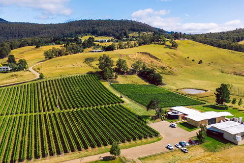 Tasmanian Wine Tour - Dalby Accommodation 4