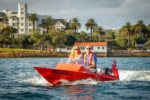 Sydney Speed Boat Adventure Harbour Tour - Dalby Accommodation 4